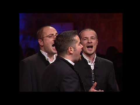 Klapa Šufit Ruko moja što si takla