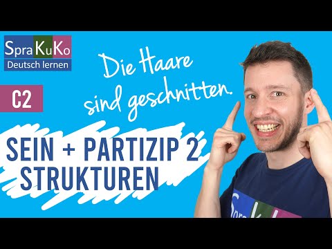 sein + past participle | stative passive, perfect active, stative reflexive or adjectival predicate