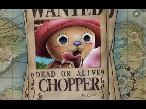 One Piece - chopper cute and funny moments