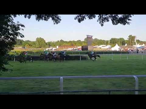 Deutsches Derby in Hamburg - 153 Jahre - ( Mi. 29.05.2022 / 5 Lauf )