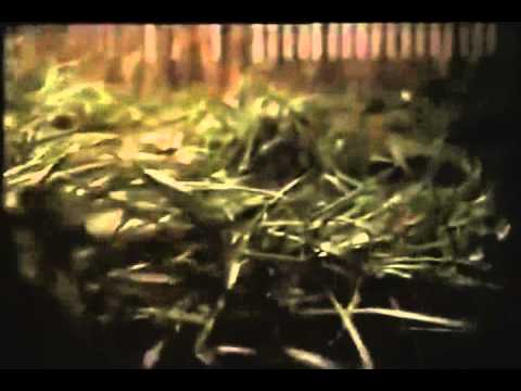 Explorers (1985) bande annonce