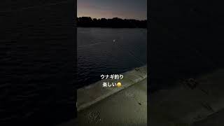 #釣り #フィッシング #海 #ウナギ釣り #釣りガール