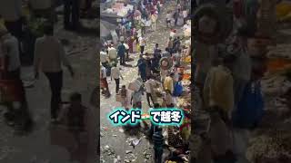インドで最大級のフラワーマーケット