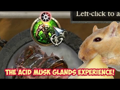 The Acidic Musk Glands Experience!