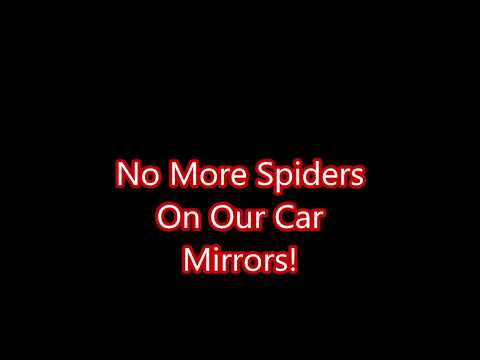 YouTube video about: How to get rid of spiders in car mirror?