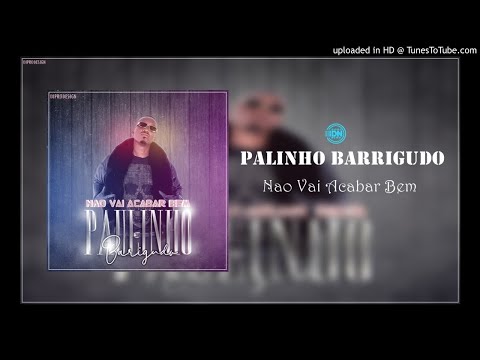 Palinho Barrigudo - Nao Vai Acabar Bem [Afro Beat] (AUDIO)