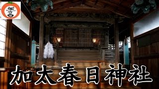 preview picture of video '【 うろうろ和歌山 】 えび祭り の 加太 春日神社 16  国指定 重要文化財 の 御社殿 桃山時代 藤原氏 和歌山県 和歌山市 Kada Kasuga-jinja Wakayama'