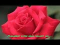 Mohabbat Kitne Rang Badalti Hai