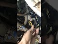 Diesel Engine Oil In Mixed Engine Coolend Problem Oil Cooler