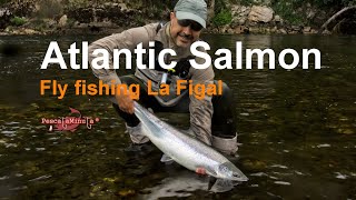 Atlantic Salmon Fly Fishing 2017