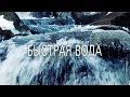 Пякин В.В. Истинное лицо батьки Лукашенко. Как и чем Лукашенко помогает КИЕВСКОЙ БАНДЕ ...