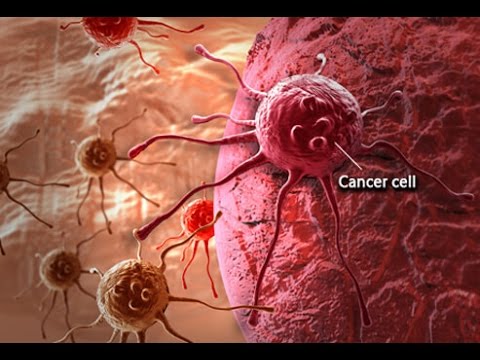 A férgek gyógyszere a rákot kezeli