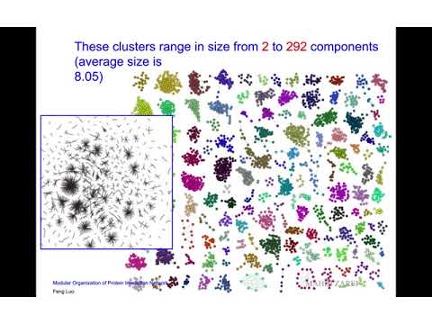 Detection of Functional Modules From Protein Interaction Networks