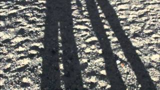 Empyrium--When Shadows Grow Longer