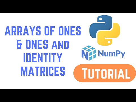 Python Numpy Tutorial For Beginners Introduction Installing numpy
