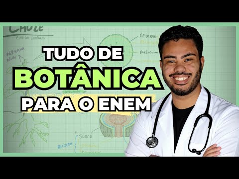 BOTÂNICA PARA O ENEM 2025 (Tudo o que você precisa saber)