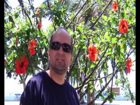 One night - Daniel Iordachioaie