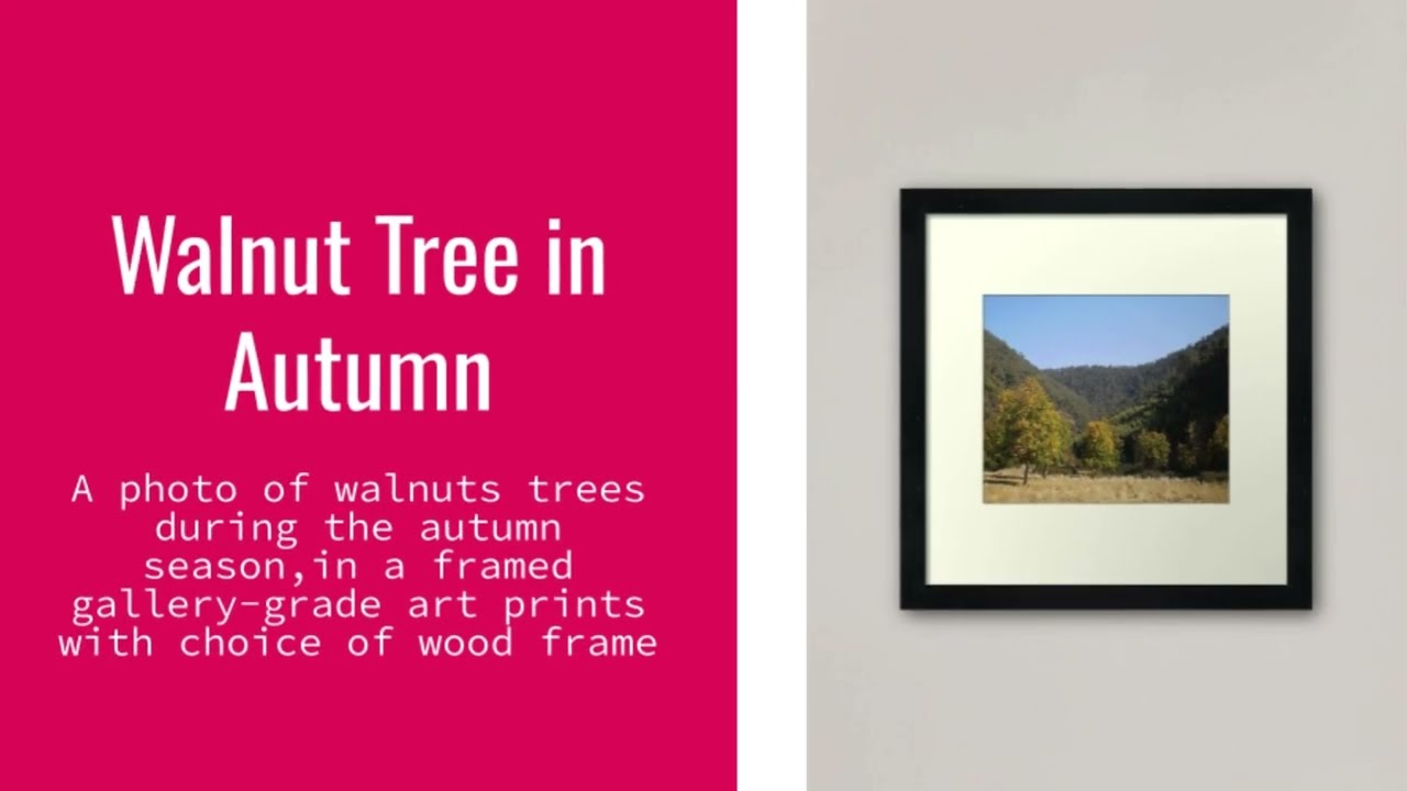 Redbubble | Wall Art Collection