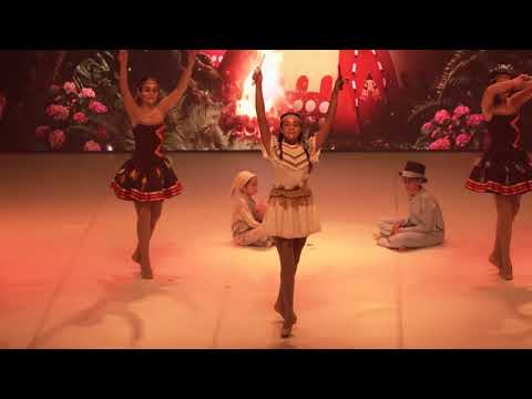 Play Video Youtube Video