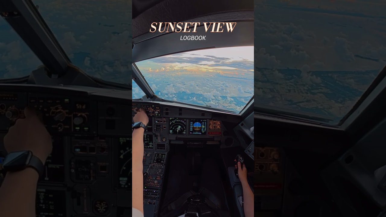 Sunset View #airbus #landing #aviation