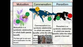 Symbiosis (AP Biology Topic 8.5 Community Ecology Part 2)