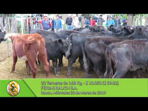 20-03-19 - Venta de Hembras - Ferias Rauch S.A. - Rauch