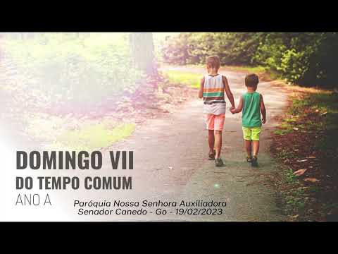 Homilia da Missa do 7º Domingo do Tempo Comum / Manhã - Dia 19/02 - Ano A - P. N. S. Auxiliadora