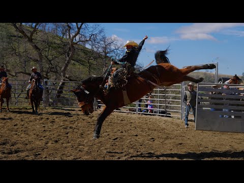 2021 Bronc Riding Practice || Veater Ranch
