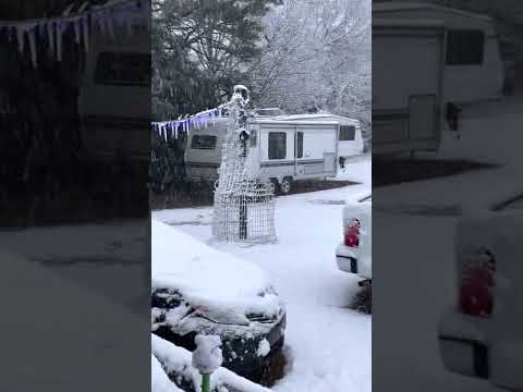 Snow in Ripley, Ms. 1-16-2022