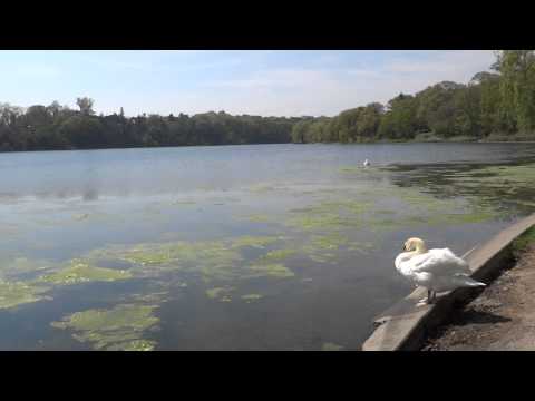 Nature and Animals at High Park // Toronto, Canada // www.profanebeatz.com