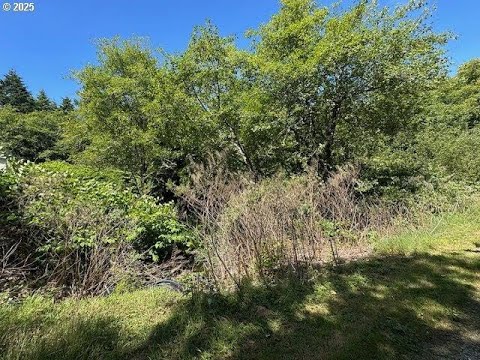 Pete Anderson Realty, Inc - Marine DR