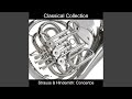 Concerto No. 1 pour Cor in E-Flat Major, Op. 11: I. Allegro