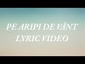 Delia - Pe aripi de vânt (Lyric Video)