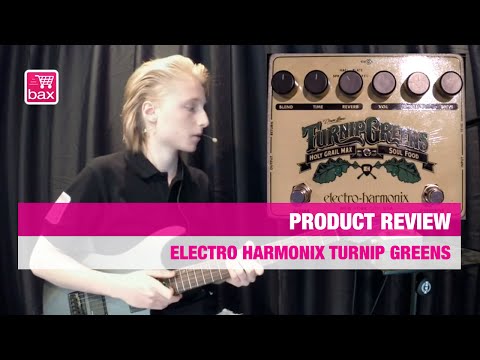 Review Electro Harmonix Turnip Greens EN