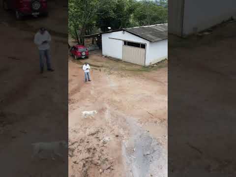 Faz.293 alq.valor 7.milhães no Tocantins Município de Dianopolis escriturada chama  zap.91982165639