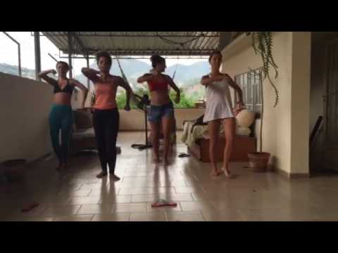 Coreografia de "Saborzinho da Bahia"- Bloco Amigos da Onça