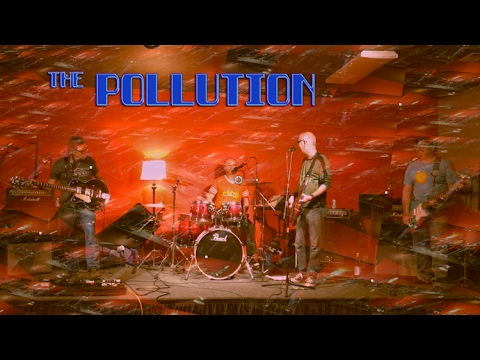 The Pollution - Bee Keeper