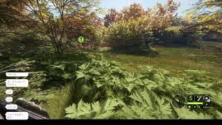 愛銃M16担いでいざ狩猟！ [theHunter Call of the wild]