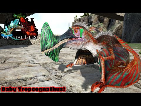 Breeding Up The Tropeognathus! Ark Crystal Isles Part 5