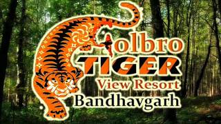 preview picture of video 'A Visit To Bandhavgarh and Khajuraho'