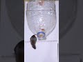 Easy mouse trap | Best Rat Trap/mousetrap ideas from plastic bottle #mouse #rattrap #mousetrap