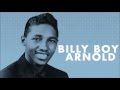 Billy Boy Arnold    ~    ''Ten Million Dollars''  1984