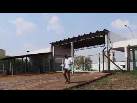 MC Ton Das Tatuagens música Quando a liberdade cantar Akafilmes TV