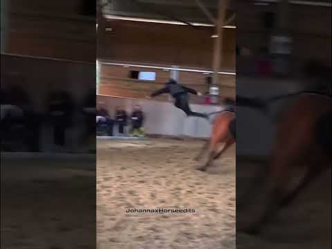 The way it falls #horse #edit #equstrain #showjumping #springreiten #fyp #fail #horsefails
