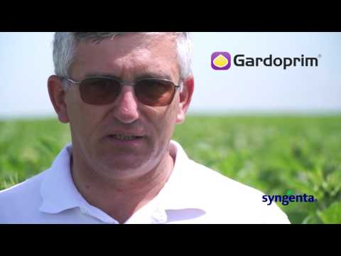 Povestea Mea cu Syngenta Iuhasz Mihai Nagy, Nadlac, Arad, productie video, btvideo.ro