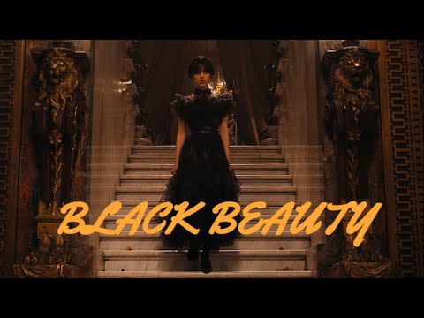 IT'S MY BIRTHDAY! (Wednesday Addams RAP - BLACK BEAUTY)