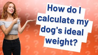 How do I calculate my dog