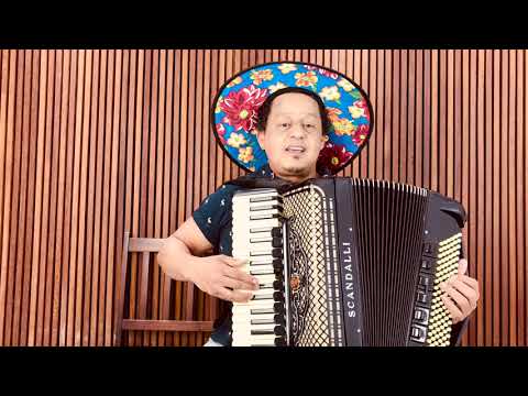 Vou Deixar Saudade - Os Bertussi