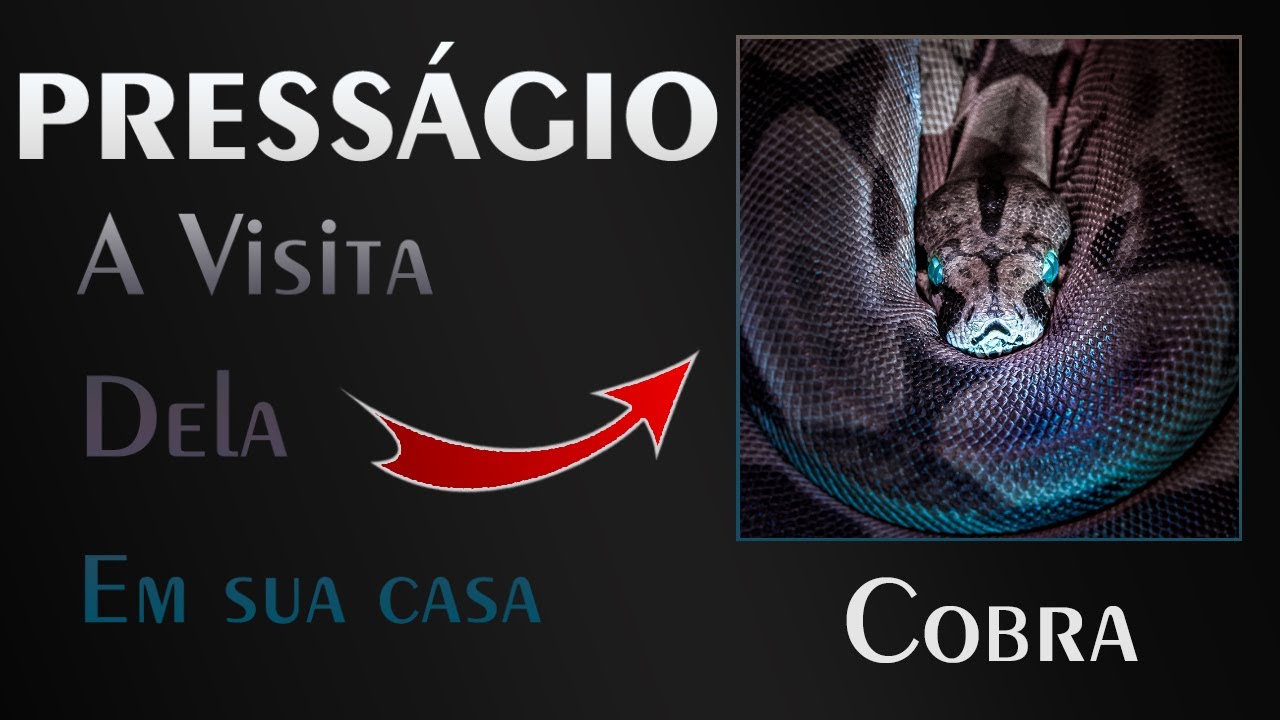 Watch Now 🏡 Presságio da Cobra - Quando ela é direcionada até você 🏡 Presságio da Cobra - Quando ela é direcionada até você