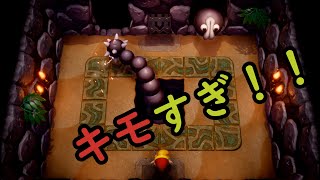 【ゲーム2人実況】ゼルダの伝説 夢をみる島 part11